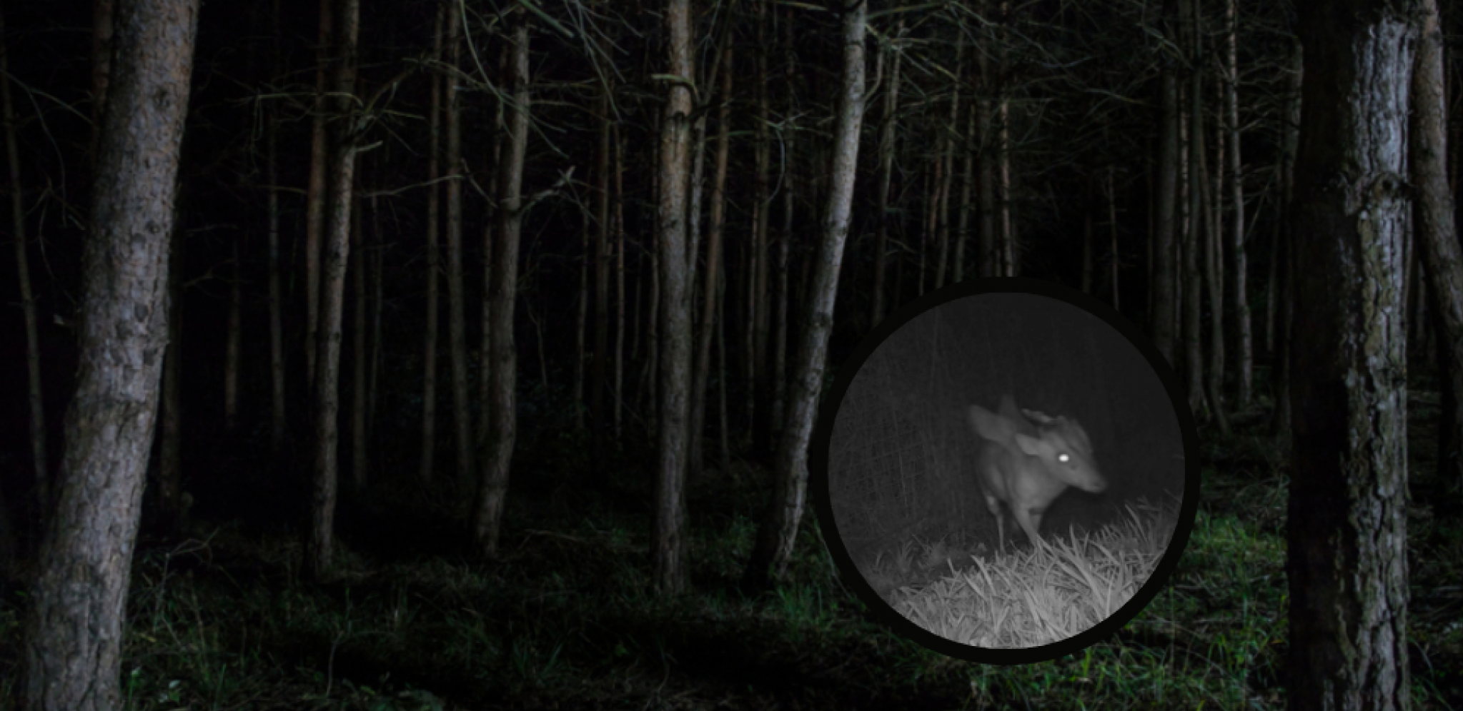 SABLASNO! POJAVILO SE MISTERIOZNO "KRILATO I ROGATO STVORENJE" Zoološki vrt traži pomoć javnosti, narode šta je OVO?! (FOTO)