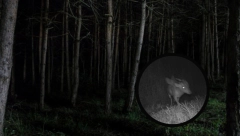 SABLASNO! POJAVILO SE MISTERIOZNO "KRILATO I ROGATO STVORENJE" Zoološki vrt traži pomoć javnosti, narode šta je OVO?! (FOTO)