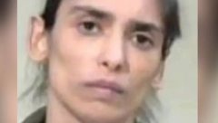 ''ZABRINUT SAM, NIJE NAM JASNO ŠTA RADI'': Oglasio se brat Kristine iz Srbije koja je otela bebu u Francuskoj!
