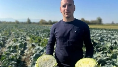 SVI POLUDELI ZA SRPSKIM KUPUSOM! Za mladog povrtara Dobricu nema odmora - radovi na njivi i dalje traju iako je zima na pragu!