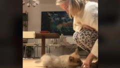 OVO ĆE VAM ULEPŠATI DAN Vlasnica pokušava da dresira štene, nasmejali su sve koji su ih videli