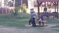 STRAVIČAN SNIMAK IZ NIŠA! Razjareni pas napao dete na igralištu - otac pokušao da motkom spasi svoje dete, onda je usledio HOROR! (VIDEO)