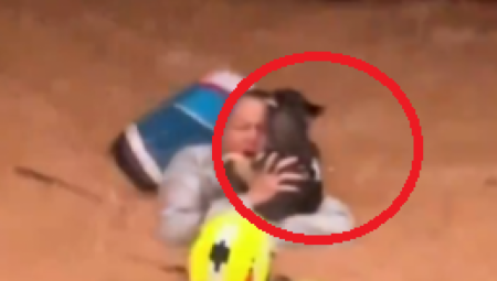 ŽENA DRŽI MALOG PSA DOK IH GUTA VODA Potresan snimak iz Španije (VIDEO)