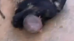 VALENSIJA SE NAKON POPLAVA PRETVORILA U DIVLJI ZAPAD: Pljačkaši haraju gradom, građani uzeli stvar u svoje ruke! (VIDEO)