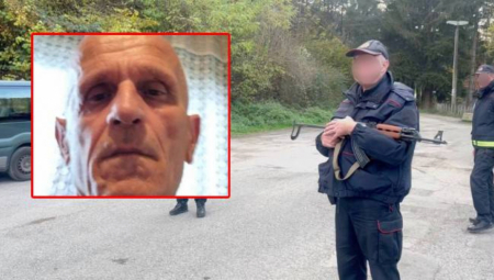 CRNOGORSKA POLICIJA VIDELA ALIJU I ON IM POBEGAO Dačić objavio nove informacije o poteri za ubicom