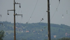 ELEKTRODISTRIBUCIJA SRBIJE ČUVA PTICE SRBIJE Nova gnezda za rode i bezbedni dalekovodi uz Dunav
