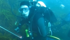 DRAMATIČAN SUSRET SA MONSTRUMOM Morska zver prestravila ronioce, običan lov na rakove pretvorio se u horor! (VIDEO)