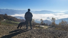 MEŠTANI TRAŽE OSTAVKE ZBOG NEUSPELE POTERE ZA BALIJAGIĆEM Najavljena blokada puta Bijelo Polje - Mojkovac