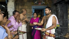 TAMILSKI SVEŠTENICI NIŠTA NE PREPUŠTAJU SLUČAJU Hinduistički vernici u Južnoj Indiji mole se za pobedu Kamale Haris