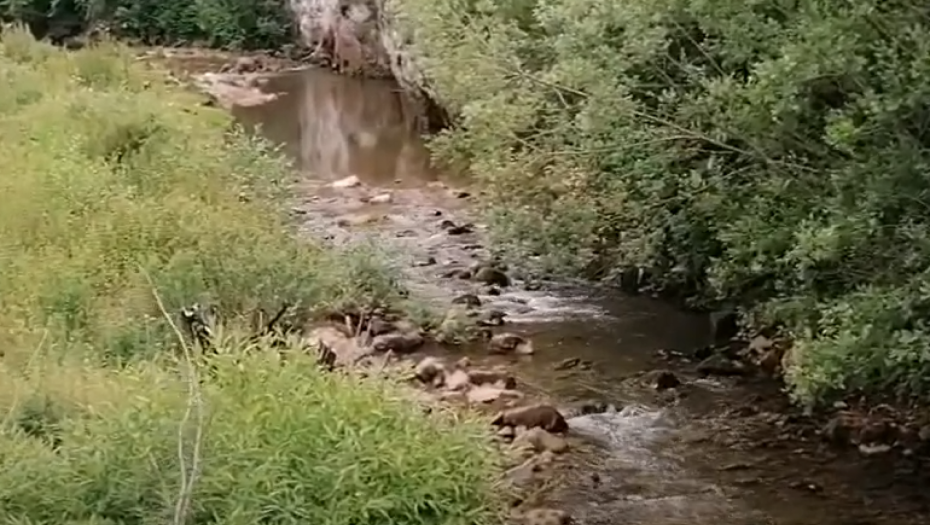 U KORITU MILJACKE PRONAĐEN LEŠ MUŠKARCA! U toku je uviđaj