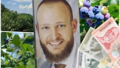 Slavko je elektroinženjer koji od ovog voća pravi čudo od biznisa: Nasledio dedovinu, pa razvio plan