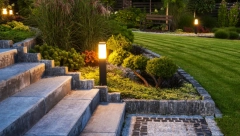 NEKE BILJKE VREDNE PRAVO BOGATSTVO: Ova je najskuplja na svetu, a cena joj doseže čak 950.000 evra