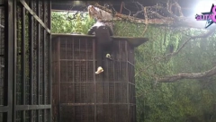 POJAVIO SE SNIMAK BEKSTVA IZ ELITE Produkcija preduzela sudske mere, ovo nije prikazano ne televiziji!