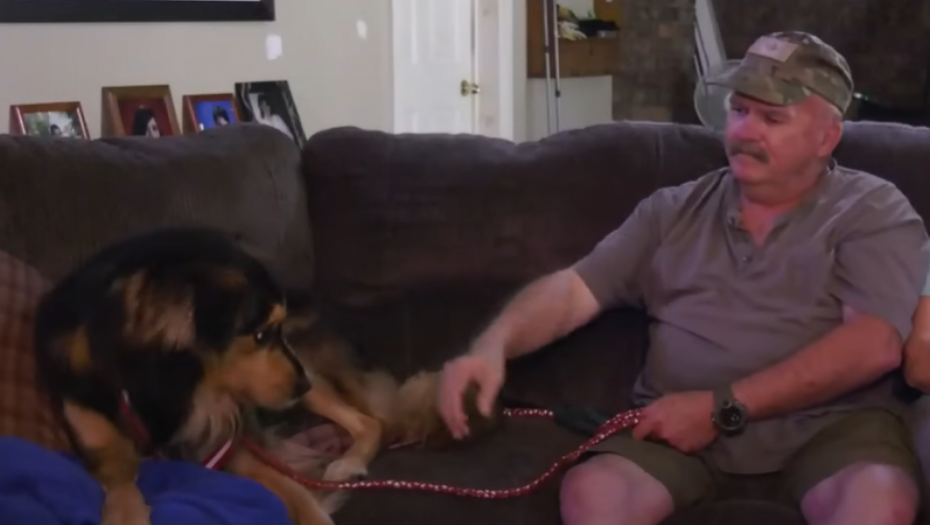 GRANIČI SE SA NEVEROVATNIM! PAS HEROJSKI SPASAO ŽIVOT VLASNIKU Snimak šokirao planetu, svi su u neverici gledali šta se dešava! (VIDEO)