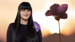 DANAS JE DAN PRIMIRJA U PRVOM SVETSKOM RATU ''Ramonda'' opisuje borbu cveta koji je u Srbiji zaštićen zakonom, evo šta simbolizuje