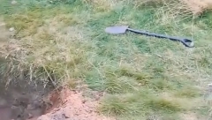 NEVEROVATNO OTKRIĆE U  KUĆI STAROJ 450 GODINA Sređivao dvorište, kada je video šta je pronašao, zanemeo od šoka! (VIDEO)