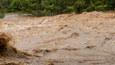 POPLAVE U ŠPANIJI NANELE OGROMNU ŠTETU Hiljade hektara zasada uništeno