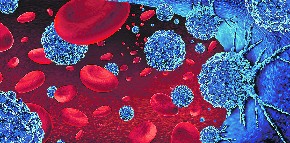 ZASTRAŠUJUĆI SNIMAK Objavljeno kojom brzinom rastu ćelija raka iz dana u dan