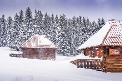 MEŠTANE SNEG ZATEKAO NESPREMNE! U ovom delu Srbije već -5 stepeni - svi u strahu da ne ostanu BEZ STRUJE!