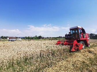 POLJOPRIVREDA NA KOLENIMA Evropa se suočava sa krizom u proizvodnji žitarica