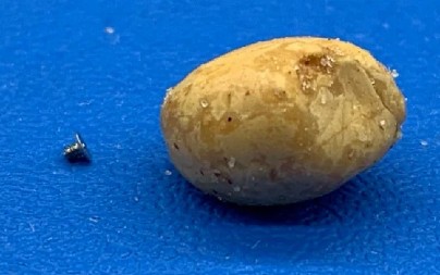 AU, ŠTA JE OVO LJUDI MOJI? Ako ste mislili da je krompir pored šrafa, u zabludi ste, optička iluzija zaludela internet! (FOTO)