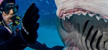 MORSKO ČUDOVIŠTE PROGUTALO I PLJUNULO KAMERU Snimljen kompletan želudac životinje, ronioci šokirani! (VIDEO)