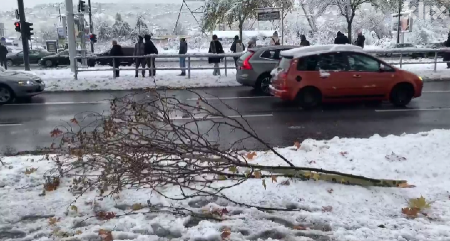 SNEG NAPRAVIO HAOS U REGIONU! Zavejani putevi, grane polomljene: Saobraćaj na nekim deonicama usporen! (FOTO)