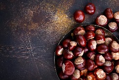 NIJE SVAKI KESTEN JESTIV Ova vrsta samo služi za dekoraciju i veoma je štetna za ljude, čak otrovna