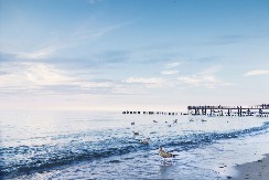 OŠTEĆEN INTERNET KABL U BALTIČKOM MORU Sumnjaju na sabotažu (FOTO)