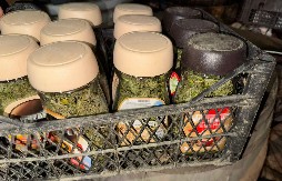 DOLIJALA DILERKA  Policija prilikom pretresa pronašla oko kilogram narkotika