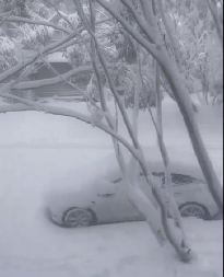 ŽENA KOJA JE NESTALA PRE DVA DANA KOD KRALJEVA PRONAĐENA MRTVA U SNEGU Staricu su jedva našli, bila je blizu kuće