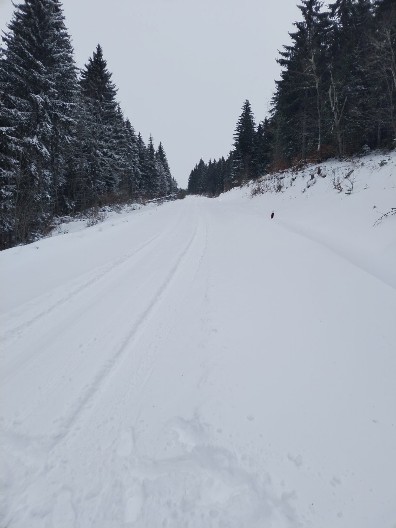 SKIJANJE PO BAGATELNOJ CENI Najeftinija planina za zimovanje u Srbiji