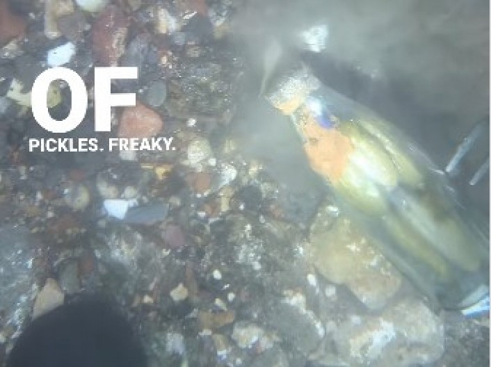 JESTIVA VREMENSKA KAPSULA U Engleskoj je pronađena 130 godina stara boca - njen sadržaj je nešto potpuno neočekivano