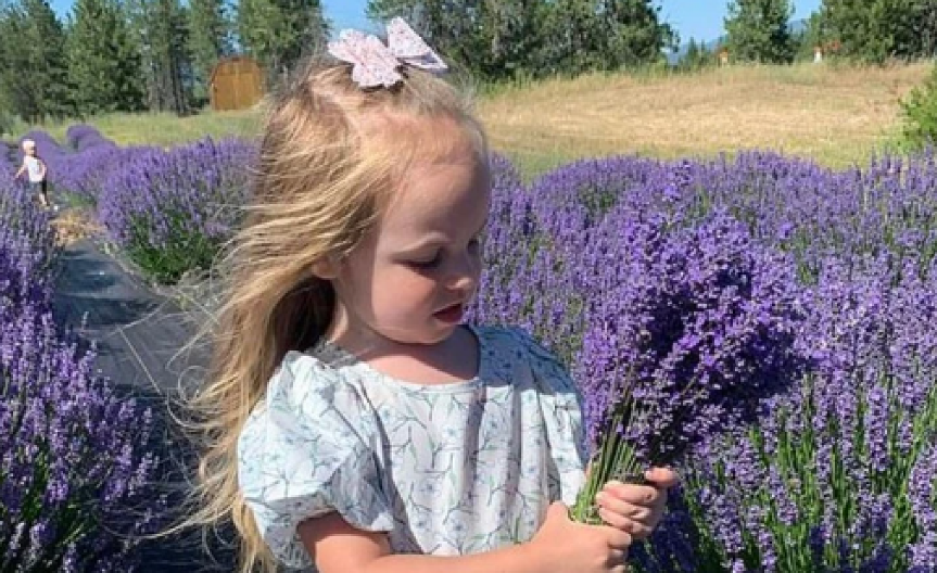 BAKA JE FOTOGRAFISALA UNUKU (3) DOK JE BRALA CVEĆE Trenutak kasnije DETE JE BILO MRTVO