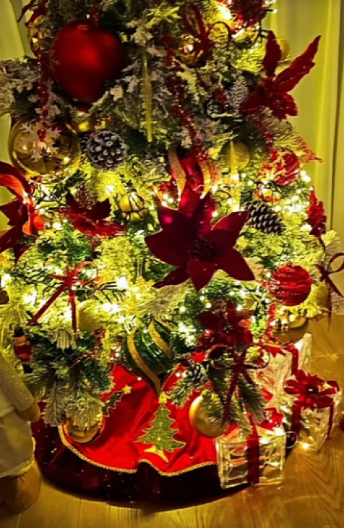 PRVA ESTRADNA JELKA! Aleksandra Mladenović prva okitila stan, u njen dom već stigla novogodišnja atmosfera