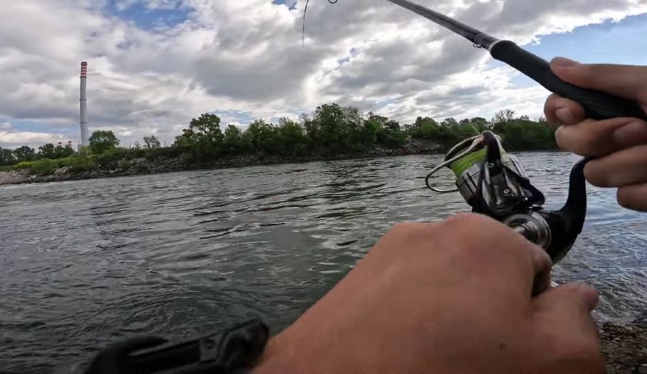 UHVAĆENI U KRIVOLOVU, POLICIJA IM NAŠLA VIŠE OD 110 KOMADA! Hapšenje u Kuli u rezervatu prirode