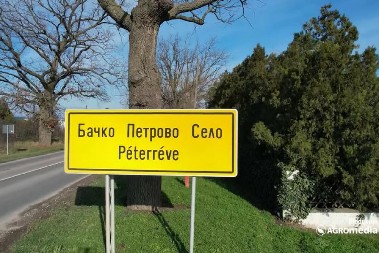 OPLJAČKALI STARICU, PA JOJ SMRSKALI GLAVU: Potvrđena optužnica protiv dvojice muškaraca iz Bačkog Petrovog Sela