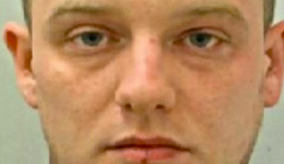 UGRIZAO GA ZA NOS I UDARIO U GLAVU Brat brutalno napao brata zbog devojke