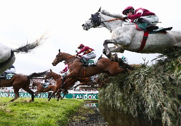 TRAGEDIJA POTRESLA SPORT O'Saliven poginuo posle užasnog pada sa konja (VIDEO)