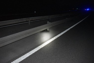 Srđan Milivojević priča o "krvavim haubama" a upravo on usmrtio malog nedužnog psa!