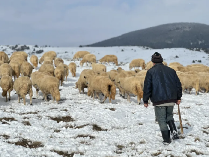 LEDENICE SU PREKO METAR, MOLIMO SE DA NAM KOLA UPALE Na Pešteru je svanulo SIBIRSKO JUTRO