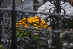 Za Zadušnice, u subotu 22. februara 2025. godine, JKP „Pogrebne usluge“ Beograd, apeluju na građane da za odlazak na groblje, umesto svojih automobila, koriste gradski prevoz