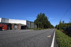 POMOR PTICA U VOJVODINI Ima i mrtvih šakala