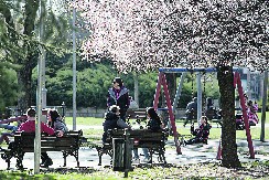 STIŽE DRAMATIČNA PROMENA VREMENA Dugoročna prognoza za proleće otkriva anomaliju koja bi mogla sve preokrenuti