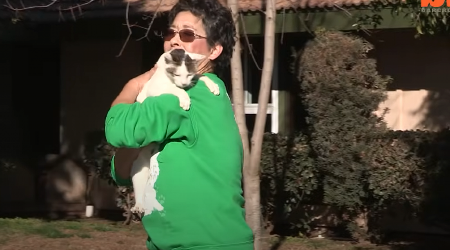 KAKO JE MOGU GLEDATI GLADNU U pojedinim delovima Australije kažnjivo pomagati napuštenim mačkama