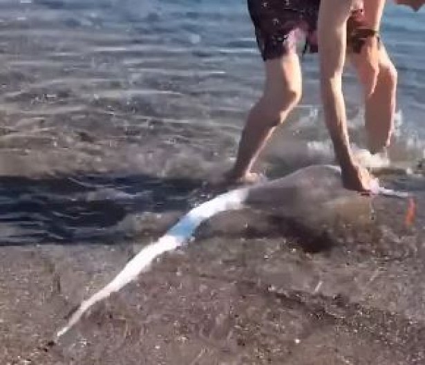 "STVORENJE SUDNJEG DANA" PONOVO VIĐENO Pojavljuje se samo pred velike katastrofe (VIDEO)