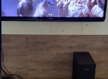 MAČAK ZARADIO 5 MILIONA PREGLEDA Zavalio se u stolicu kao kralj, a kada vidite šta drži u krilu, oduševićete se!