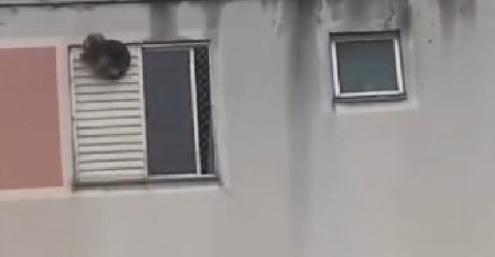 PAS ZAGLAVIO NOGU U ROLETNI, PRESTRAVLJEN CVILEO OD BOLOVA Izgubio je snagu i pao, ali onda je naišla žena heroj! (VIDEO)