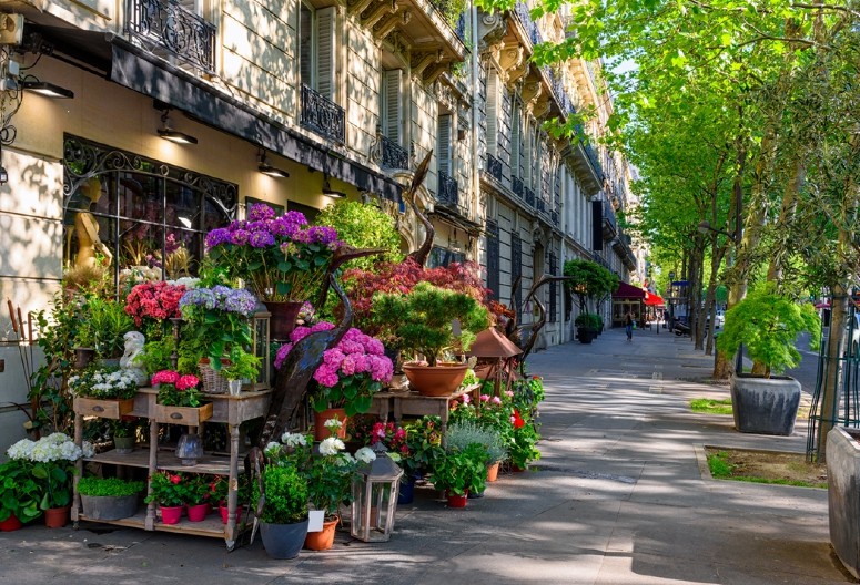 DONOSI SAMO NESREĆU Ovaj cvet nikako ne poklanjajte ženama za 8. mart