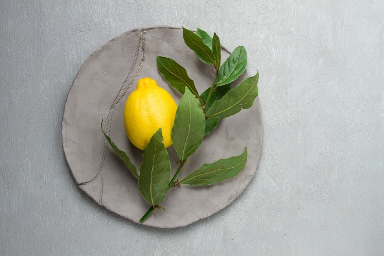 ZABOLA JE LOVOROV LIST U POLA LIMUNA Za nekoliko minuta rešila je veliki problem